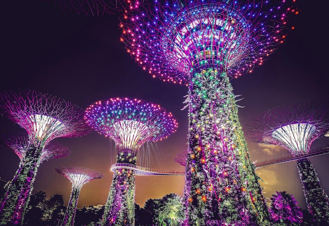 Gardens by the Bay Return Transfer Tickets