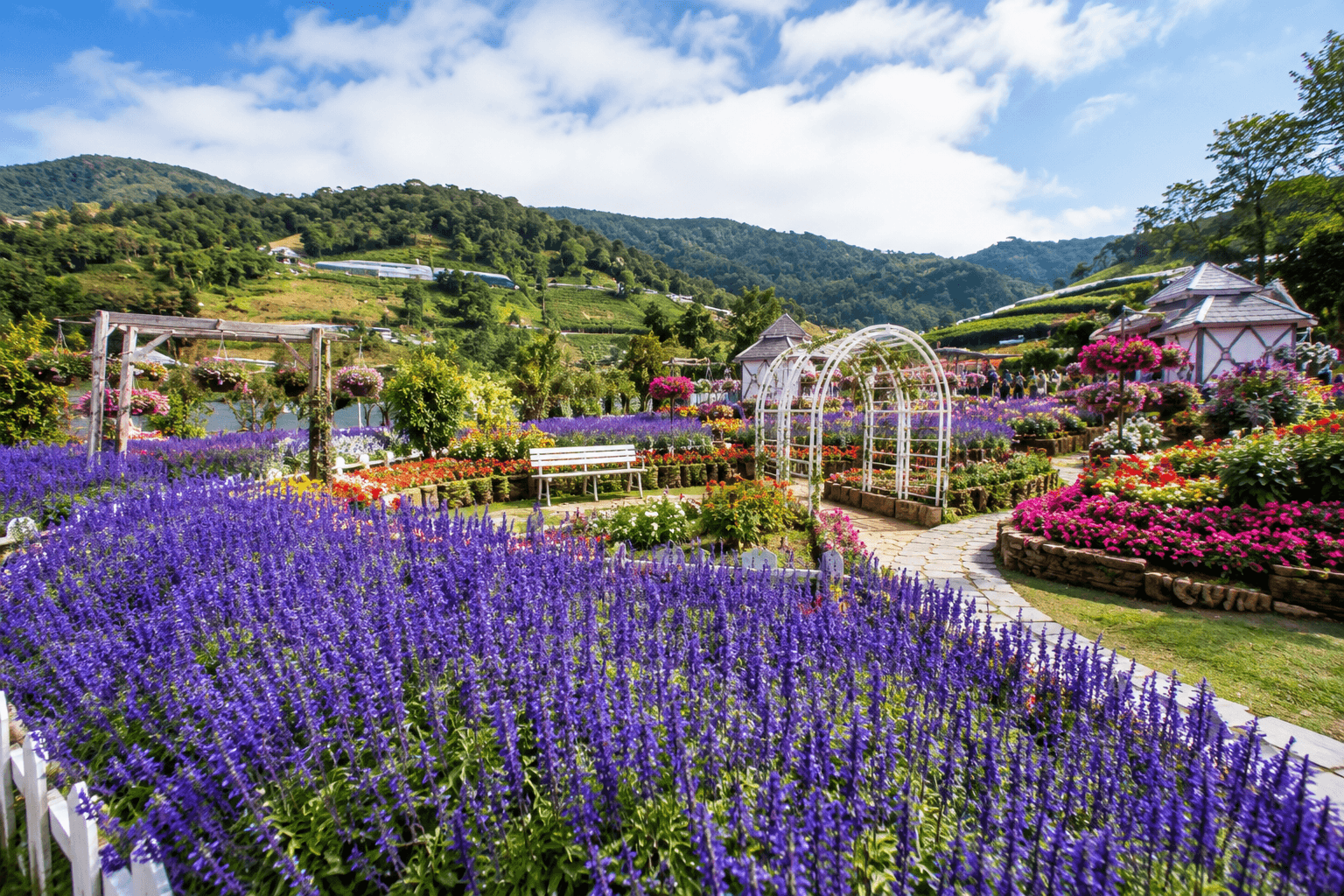 Lavender Garden Cameron Highlands